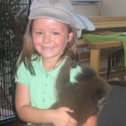 Kids Go Out on a Limb to Rescue Koalas