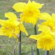 Fundamental Change with the Human Spirit