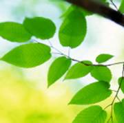 Energy Conversion Meditation